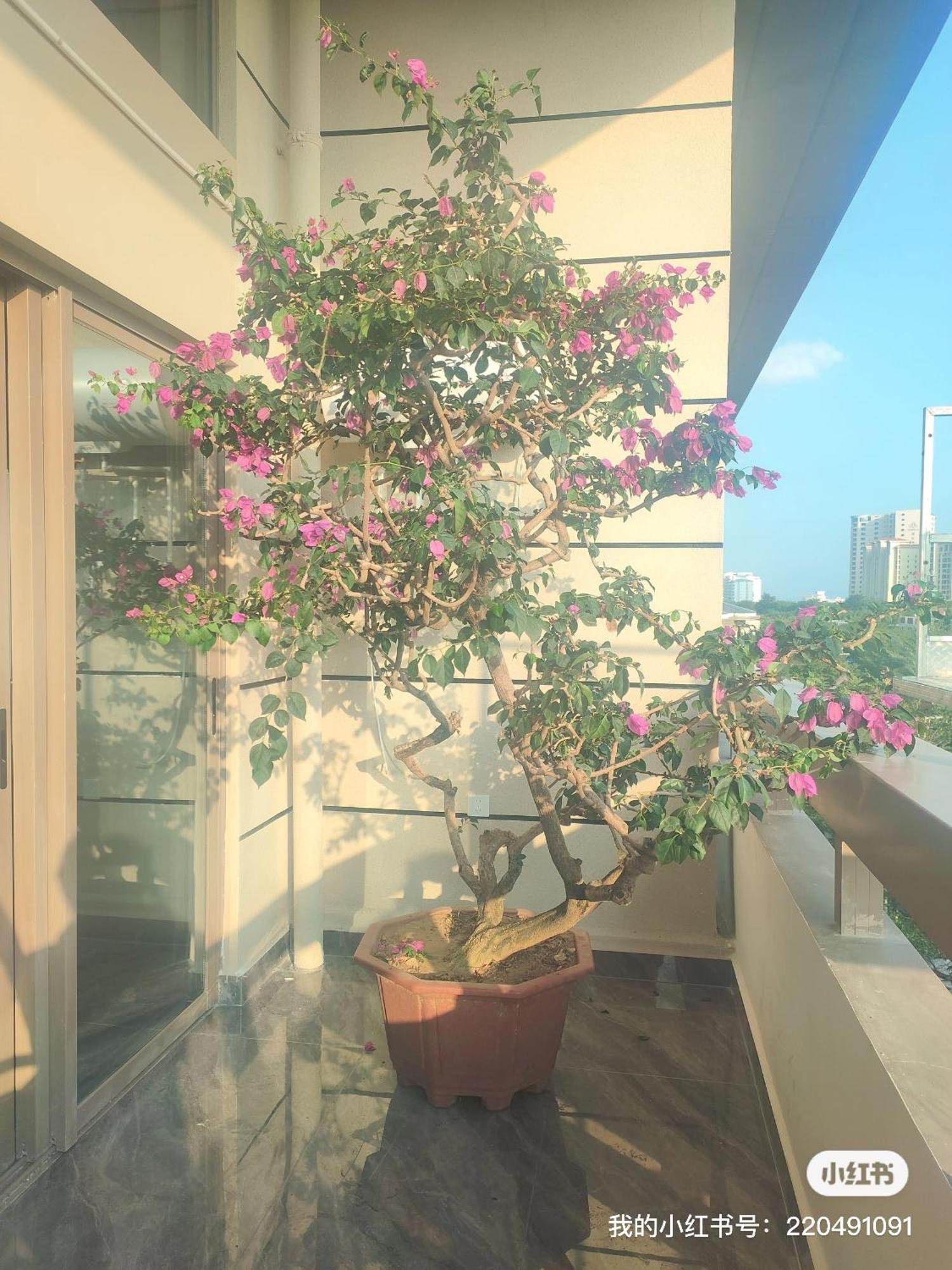 Shiguanghui Apartment Sanya Luaran gambar